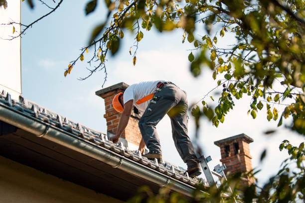 Best Shingle Roofing Installation  in Lander, WY
