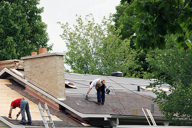 Best Roof Repair Services  in Lander, WY
